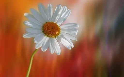 Havening Meditation To Soothe & Calm The Body