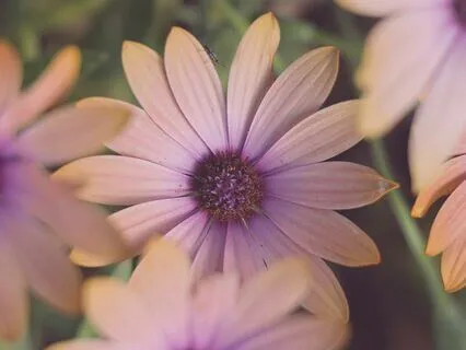 Havening To Regulate Your Nervous System