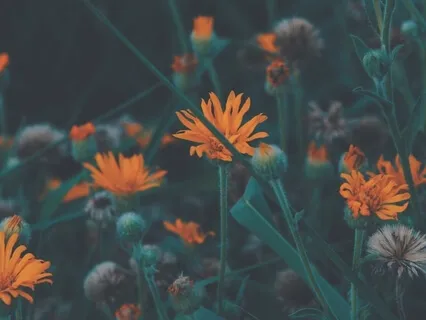 Having Faith In Our Spiritual Growth