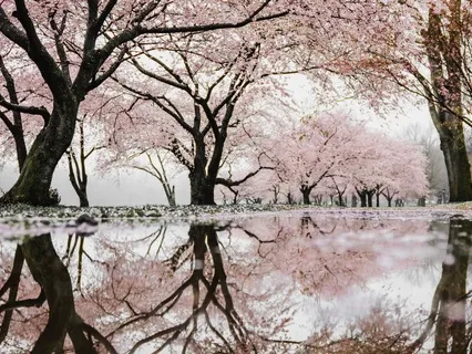 Having Our Own Back - a meditation for self support