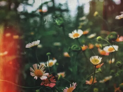 Having Preferences: A Spiritual Practice