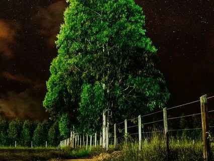 Having The Courage To Live Again