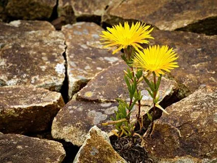 Having Trouble Meditating?  Great-You Are Doing It Right!