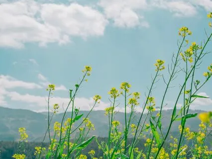 HaVu | A Chant Between A Father & Son