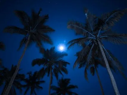 Hawaiian Stories For Sleep | GSP Ep 58