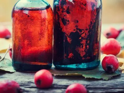 Hawthorn’s Tale: A Celtic Story For Healing & Renewal