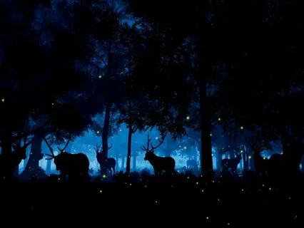 Hayal Kurarak Uykuya Dal- Orman