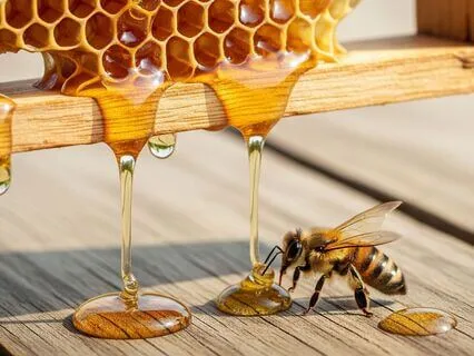 He Changed. I Want My King Back.