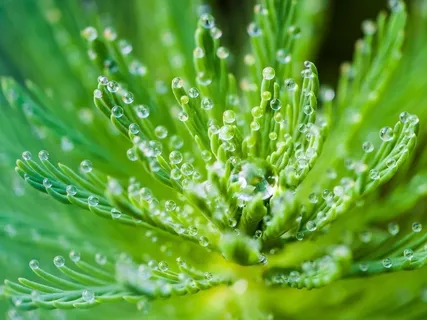 'Head, Heart & Gut' Check-in