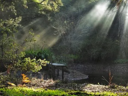 Head Into Heart: A Gentle Tapping Practice For Inner Calm