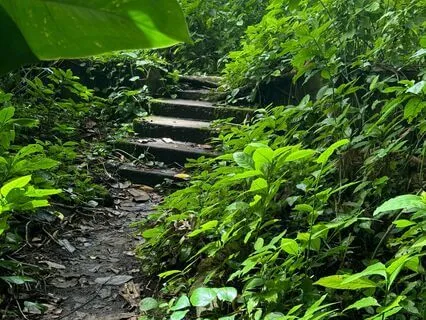 Head-to-Toe Body Scan For A Busy Mind