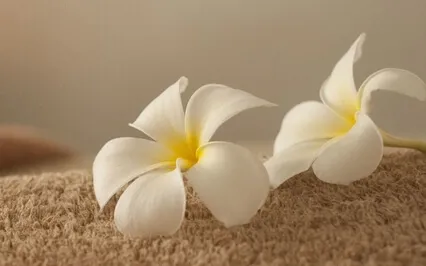 Headache & Pain Release ASMR