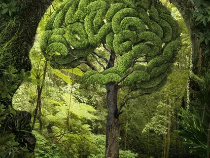 Headache Relief Meditation