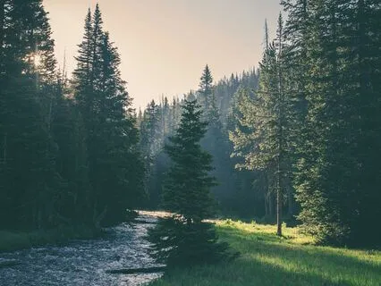 Headache Relief Meditation