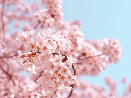 Heal A No Contact Love Relationship