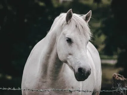 Heal After Rejection And Heartbreak Subliminal