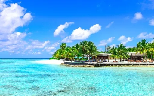 Heal & Rewire Your Subconscious