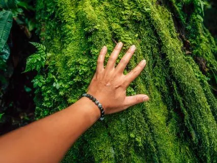 Heal Anxiety, Dissolve Stress & Worries, Sleep Deep