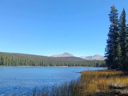 Heal Chronic Pain Or Symptoms: Stop Fighting The Body!