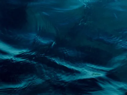 Heal Completely & Supercharge Your Health, Guided Meditation