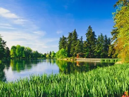 Heal Emotional Wounds: Find Peace Within