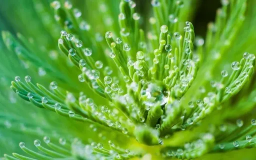 Heal Emotionally & Physically With 174 Hz 