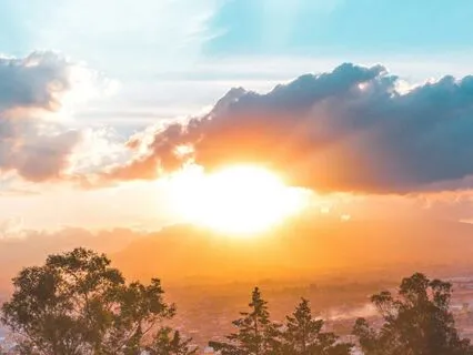 Heal From The Inside Out