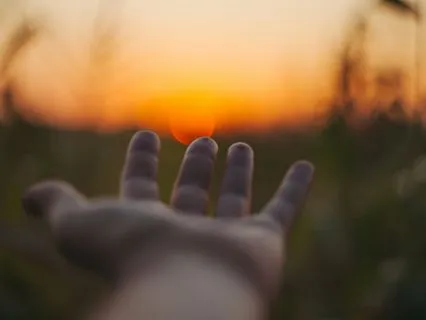 Heal From Within: Your Body's Quiet Repair