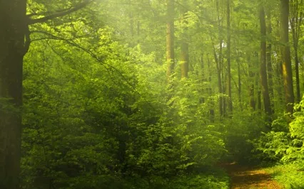 Heal Hurt In Relationships 