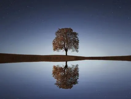 Heal: Relax & Settle Into Deeper Meditation Mood (Path)