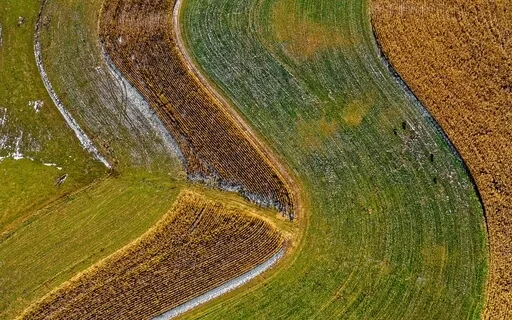 Heal Negative Energies