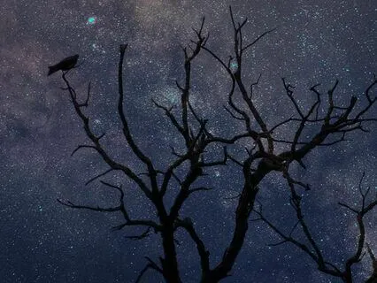 Heal Negative Patterns And Deep Sleep