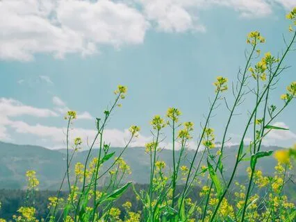 Heal Ourselves To Heal The Earth