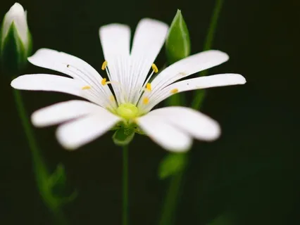 Heal Pain & Discomfort