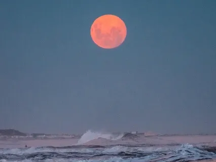 Heal Pain, Reconnect With Womb, Reclaim Feminine Energy