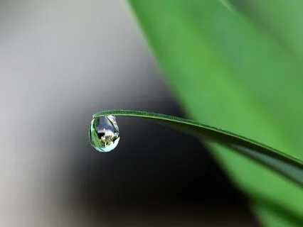 Overcome People Pleasing & Speak Your Truth