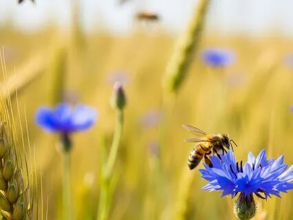 Heal Relationships And Dissolve Arguments