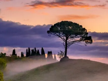 Heal: Sleep Meditation To Fall Asleep Fast & Wake Up Rested