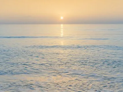 Heal The Body & Align With Blessings