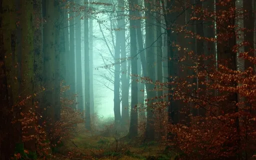 Heal The Earth's Heart Chakra