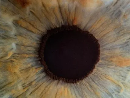 Heal The Eyes Meditation