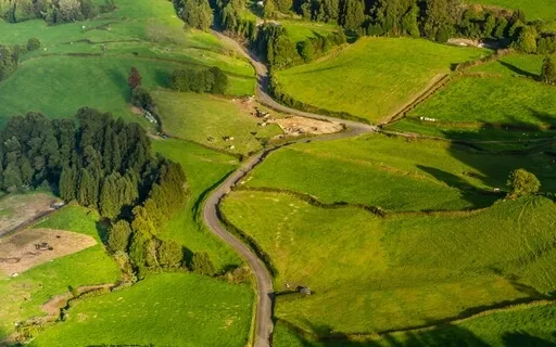 Heal The Heart | Connect With Heart Wisdom & Mother Earth