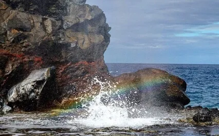 Heal The Inner Child