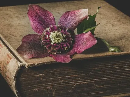 Heal The Past | Let Go Of Old Stories | Healing Meditation