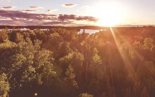 Heal The Past - Revision Meditation