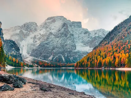 Heal Through Listening