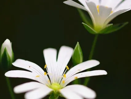 Heal Through Loneliness Into Wholeness