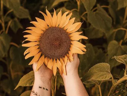 Heal With Fun - Unlearn Your Old Stories