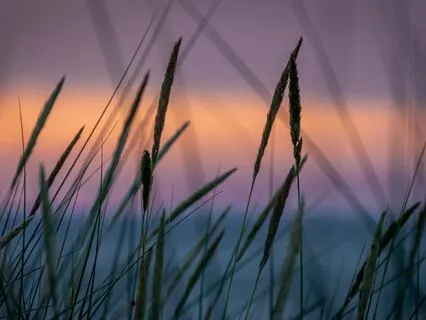 Heal With The Earth Meditation Infused W Reiki+Sound Healing