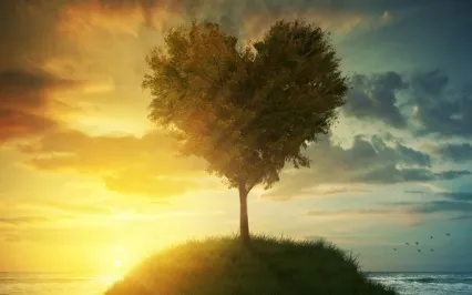 Heal With The Heart - Guided Meditation